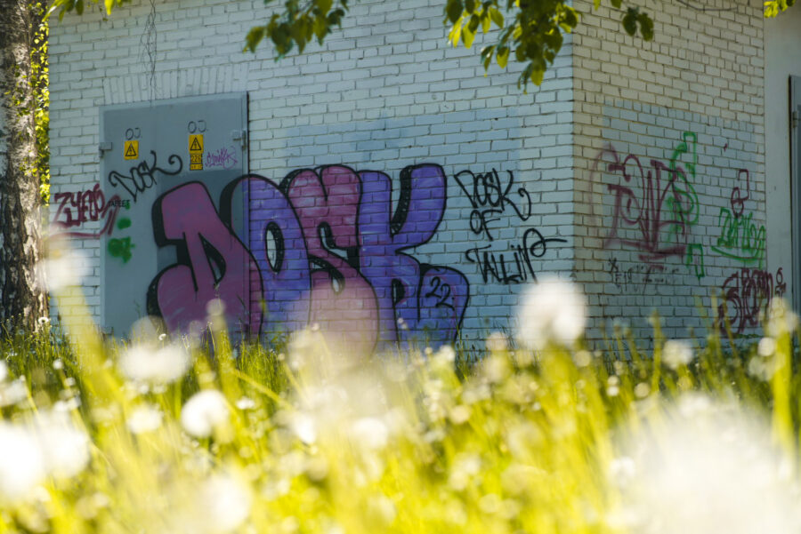 DSC01345