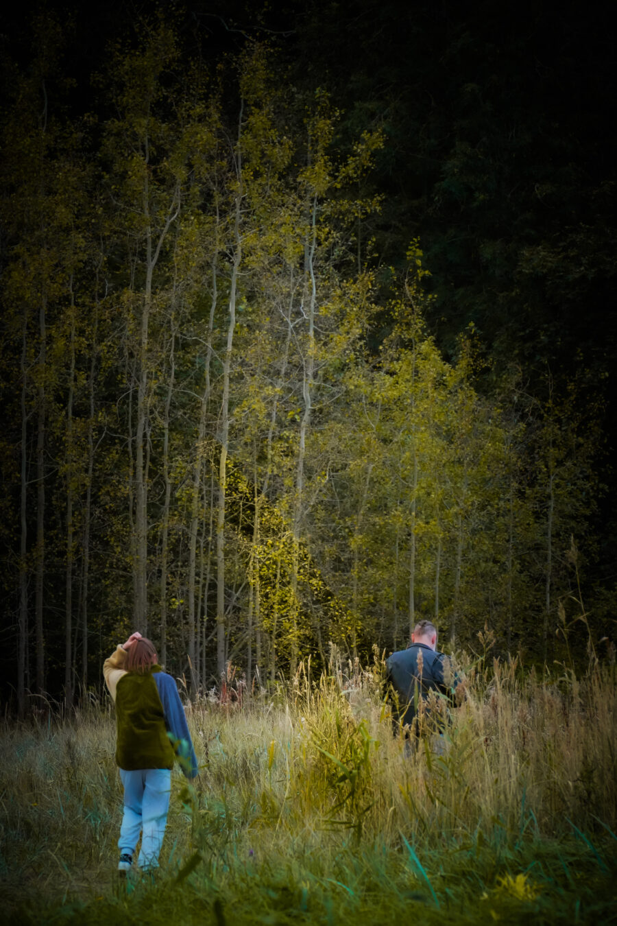 DSC05377