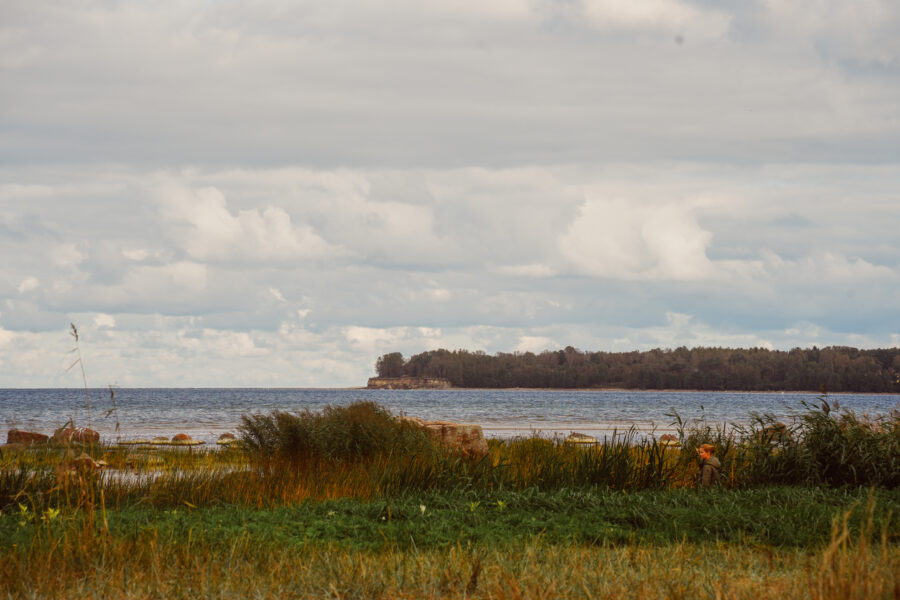 DSC05433-2
