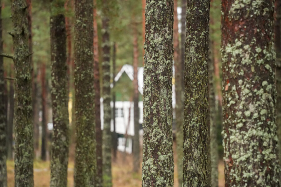DSC06489