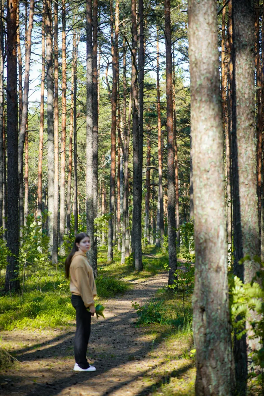 Inimene männimetsas